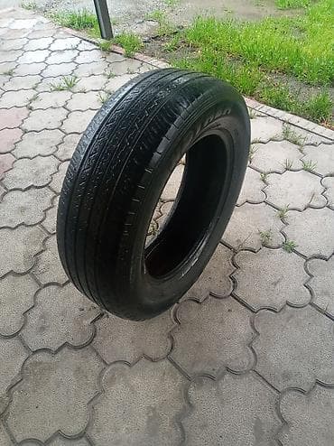 225 55 р17: Шины 225 / 65 / R 17, Всесезонная, Комплект, Внедорожные (АТ/МТ), Dunlop — 7