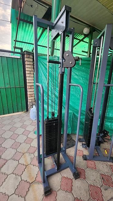 Тренажёр бубновского. регулируемый угол тяги. стэк 100кг