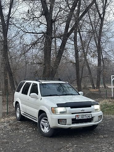 Infiniti QX4: 2002 г., 3.5 л, Автомат, Газ, Внедорожник
