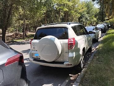 Toyota RAV4: 2010 г. — 4