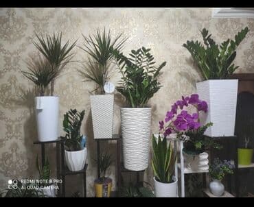 купить большой горшок для цветов: Кашпо — 1