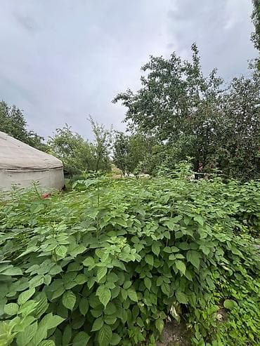 18: Продаётся земельный участок с жилыми постройками и зелёным садом. Что — 4