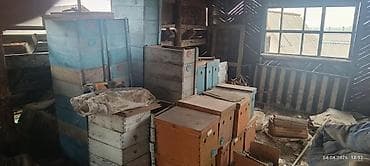 пчелоп: Деревянные 7 окрашенные полурамочные корпуса 66 штук 11 доньев, 11 — 2