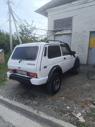 нива еффект: ВАЗ (ЛАДА) 4x4 Нива: 1990 г., 1.6 л, Механика, Бензин, Внедорожник — 4
