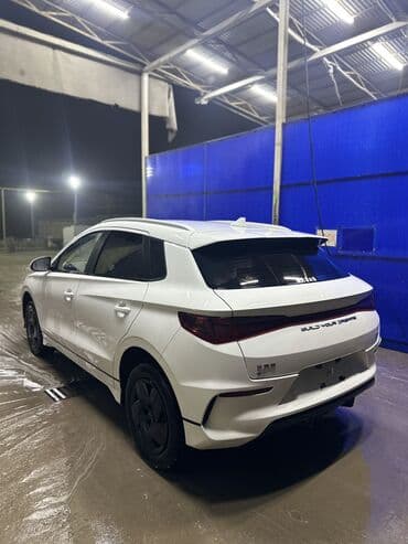 BYD: BYD : 2024 г., Электромобиль, Кроссовер — 7