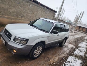 Subaru: Subaru Forester: 2003 г., 2 л, Автомат, Бензин, Кроссовер — 4