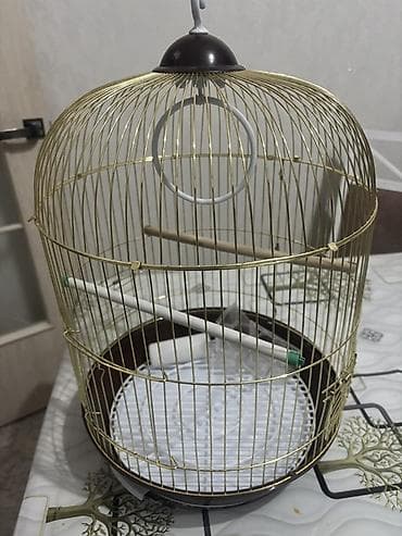 Үй жаныбарлары: Клетки для птиц — комплект из двух моделей 1) Прямоугольная клетка — 3