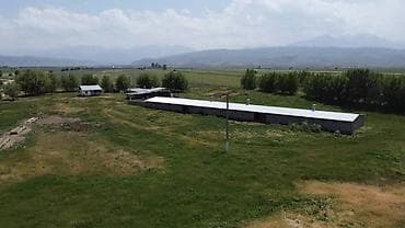 Земельные участки: 500 соток, Для сельского хозяйства, Красная книга — 5