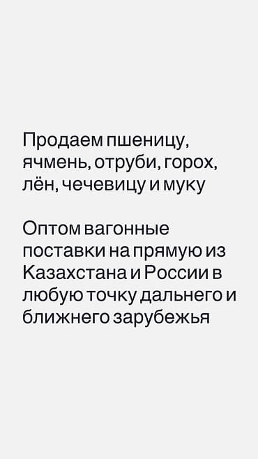 Оптовая продажа сельскохозяйственной продукции: пшеница, ячмень at lalafo.kg Оптовая продажа сельскохозяйственной продукции: пшеница, ячмень