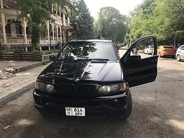 накладки на глушитель: BMW X5: 2001 г., 4.4 л, Автомат, Газ, Внедорожник — 1
