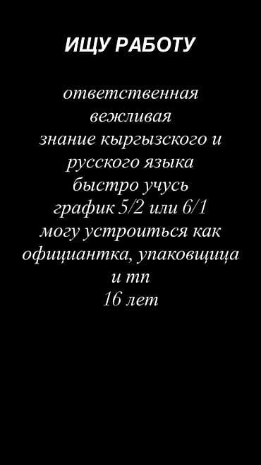 ысык куле: Ищу работу — 1