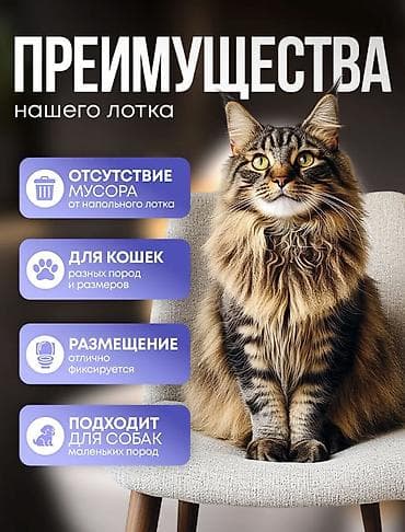 мал сатып алам: Товары для ВАШИХ ЛЮБИМЫХ КОШЕК! Туалет для кошек приучает ходить к — 2