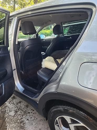 sport classic: Kia Sportage: 2019 г., Автомат, Кроссовер — 1