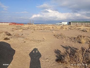 пансионаты кош кол: 24 соток, Красная книга — 9