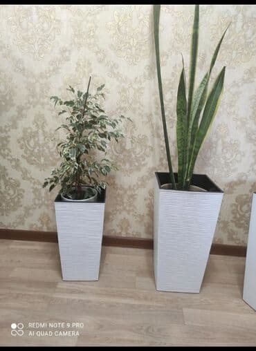 купить большой горшок для цветов: Кашпо — 6