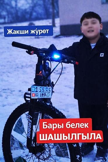 электро мотороллер с кузовом: Городской велосипед, Рама S (145 - 165 см), Новый — 3