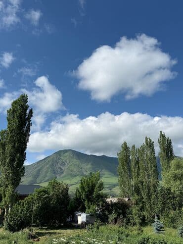 дордой дом: Үй, 200 кв. м, 7 бөлмө, Менчик ээси, Евро оңдоо — 2