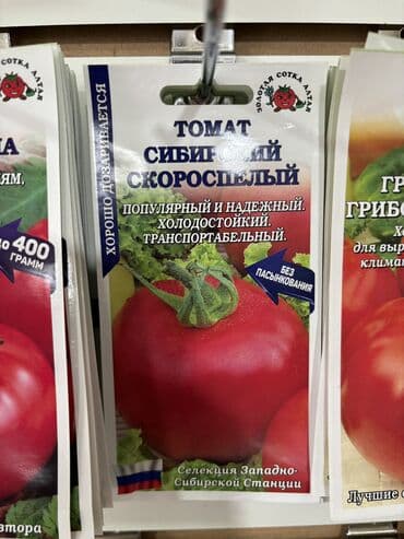 рассада помидор купить: Семена помидоров по 25 сомов «Джина ТСТ» «Лонг кипер» «Янтарное — 8