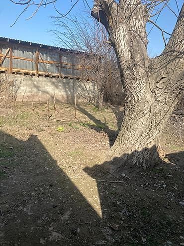 ново павловка заря: Срочно Продаю дом с.Ново Покровка Участок -6 соток 4 ком -100 кв.м — 9