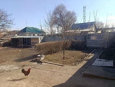 село ленинский дом: Продаётся жилой дом с большим двором и хозяйственными постройками — 4