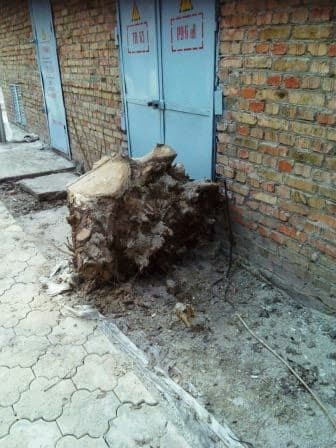 слом дома и вывоз мусора цена: Пилю деревья, дрова, корчевание пней, кустарников, расчистка — 7