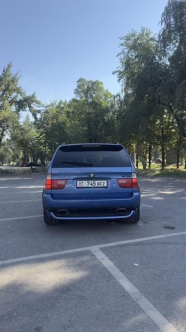 BMW X5: 2003 г., 4.4 л, Автомат, Бензин, Внедорожник — 8