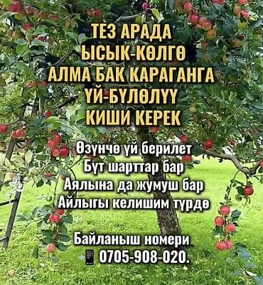Башка адистиктер: ТЕЗ АРАДА ЫСЫК-КӨЛГӨ АЛМА БАК КАРАГАНГА ҮЙ-БҮЛӨЛҮҮ КИШИ КЕРЕК Өзүнчө — 1
