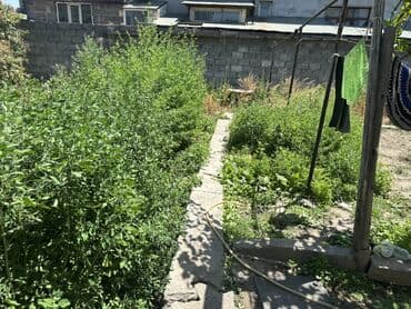 продаю дом село петровка: Дом, 70 м², 3 комнаты, Собственник, Старый ремонт — 6