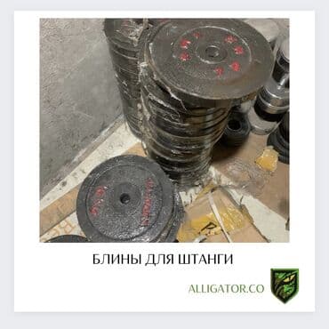 разборные гантели купить: Блины для штанги 10 кг Узбекистан железные Олимпийские / — 1