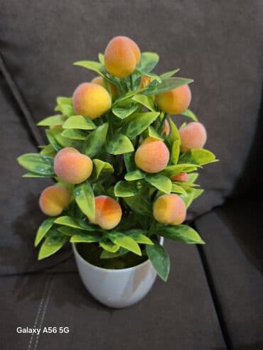 кресло для руководителя бишкек: Искусственные декоративные композиции для интерьера. - Не требуют — 8