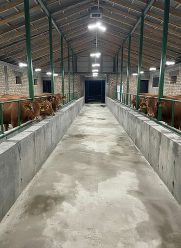 продажа домов в городе шопокове сокулукском районе: Дом, 100 м², 3 комнаты, Собственник, Евроремонт — 1