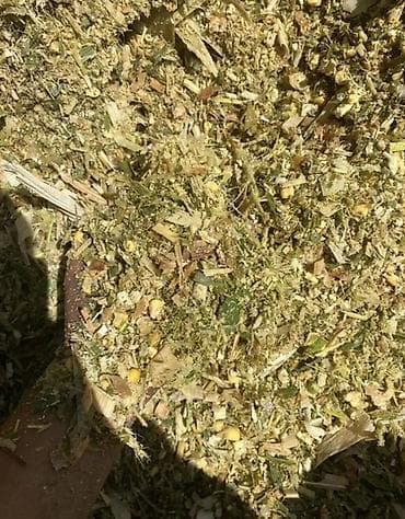 Собаки: Силос/Кукуруза в мешках - Корм для КРС, МРС, лошадей и др. - — 5