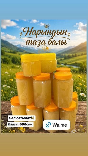 вата бишкек: Нарынский натуральный мёд - Чистый мёд из горных лугов Нарына - — 1