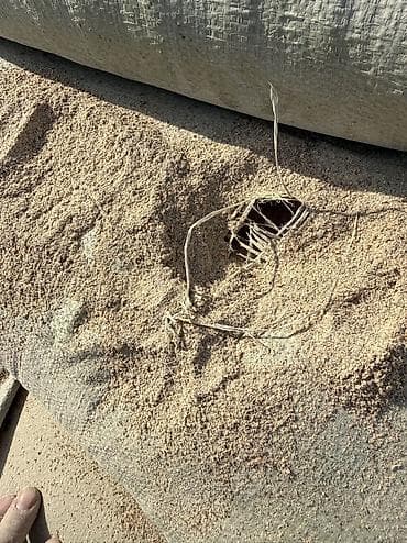 морковь кормовая: Гороховая мучка Чечевичная мучка Гороховые отруби Чечевичные отруби — 5