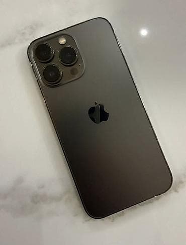 IPhone 13 Pro, Графит