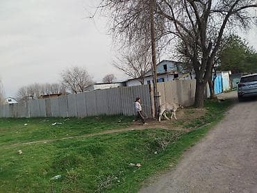 продажа пустых земель: 12 соток, Договор купли-продажи — 4