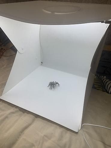 video camera: Продаю фото бокс белый и черный фон в комплекте новый Складной — 5