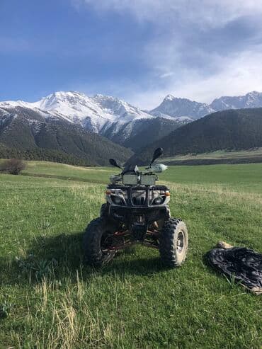шины и дискы: Квадроцикл Бензин, 200 куб. см, Взрослый — 2