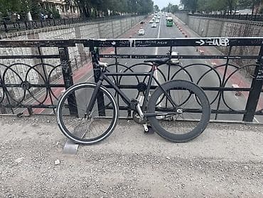 трекси: Фикс-байк iris Аппалачи (fixed gear) с ременным приводом - Рама — 3