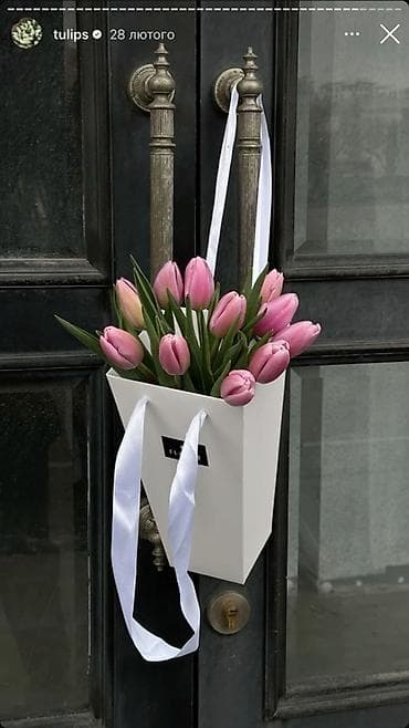 Другие товары для дома: Тюльпаны в упаковке/пакетах - Срезанные тюльпаны свежей выгонки — 3