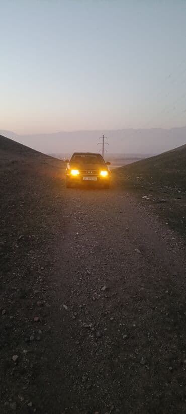 купить покрышки для авто: Audi S4: 1992 г., 2 л, Механика, Бензиновая, Седан — 8