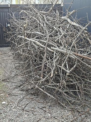 Отун: Дрова из обрезанных веток деревьев отдам даром Самовывоз - Порода — 3