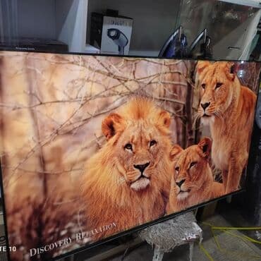 антены: Телик Акция Телевизор - Skyworth 65SUE9500 165 см 65" 4k (google tv) — 9