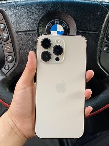 IPhone 14 Pro Max, Серебристый