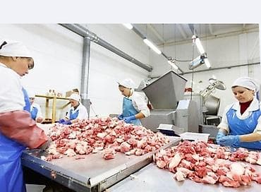 Салоны красоты: Требуется Разнорабочий на производство, Оплата: Дважды в месяц, Без опыта — 3