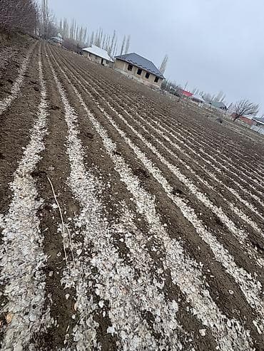 чалдовар продажа домов: 20 соток, Для строительства, Красная книга — 5