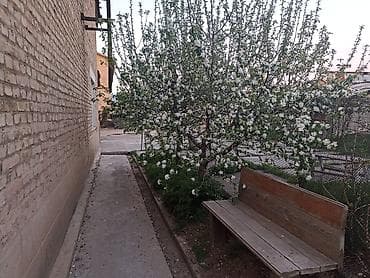 куплю жилой дом: 4 комнаты, 70 м², Хрущевка, 1 этаж, Косметический ремонт — 1