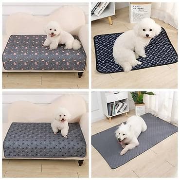 приюты для животных: Продаю новые в отличном качестве лотки крытые и открытые,а так же — 9