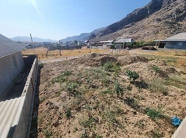 кун тук участок: 5 соток, Красная книга — 9