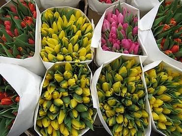 вода зам зам: Только оптом !!! Цена
90 сом если выше 500 по 85 сом !!! — 1